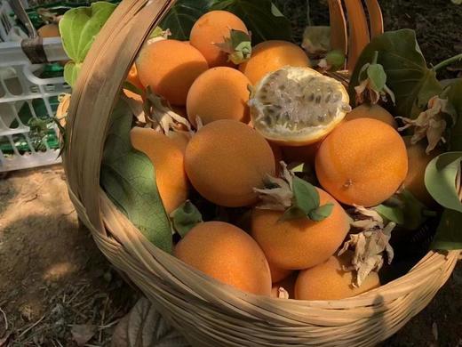 【分仓直发包邮】云南热情果1斤（4-6个） 商品图3