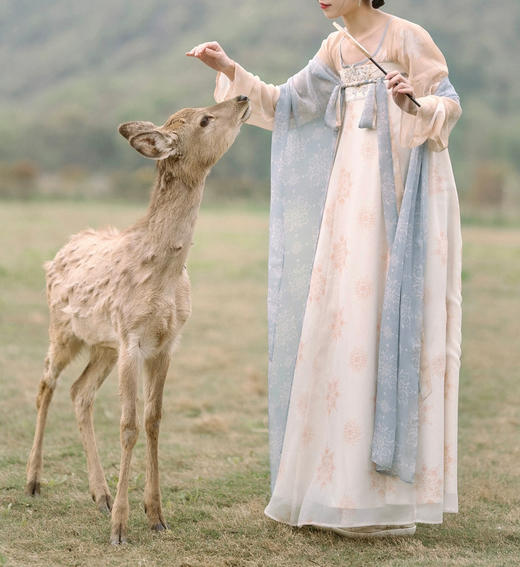裁缝学苑AS438唐制汉服坦领上衣一片式齐胸破裙纸样女装样板 商品图2