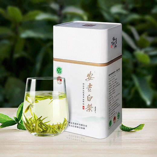 卢正浩 安吉白茶 50g（预售3月份发货） 商品图1