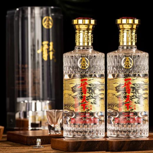 五粮液股份公司出品一尊天下经典 52度浓香型白酒 整箱500ml*6瓶包邮 商品图5
