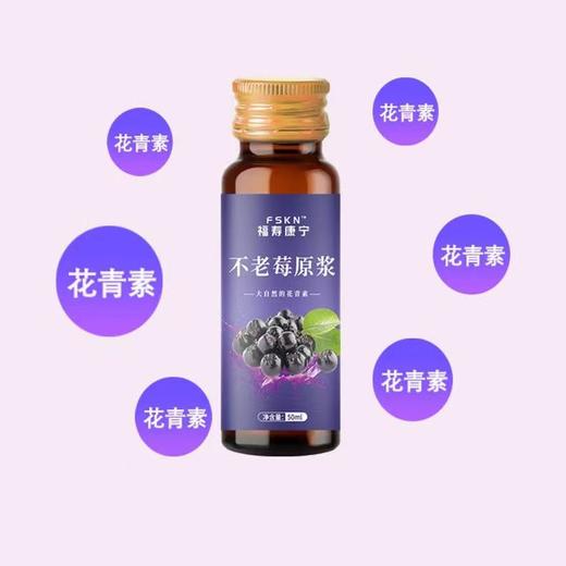 【FSKN】 不老莓原浆（50ml*10瓶）500ml 商品图2
