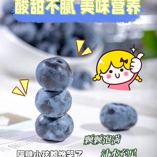 【云南·花香蓝莓】 香甜爽口，鲜嫩爆浆，果香浓郁，现摘现发护眼佳果  顺丰空运 商品图3