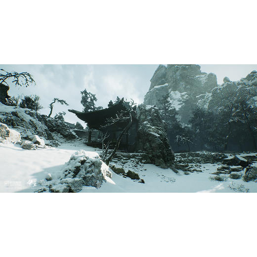 【共享】PS5 黑神话悟空中文版 共享游戏光盘（PS4机器不能使用） 商品图3