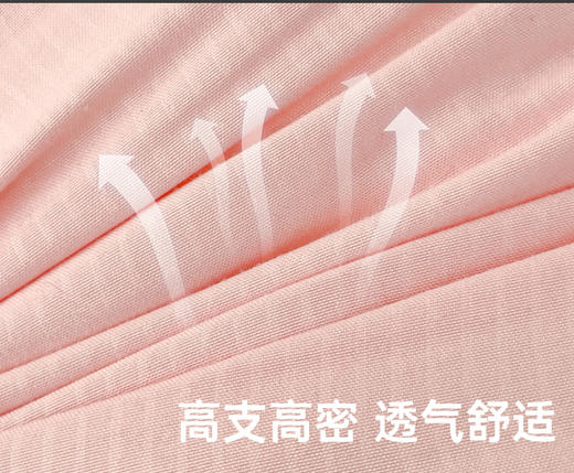 三套车CRSXZ-01超柔水洗枕 商品图3