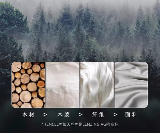 三套车LJTS-4兰精天丝四件套 商品图3