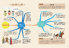 《给孩子的国学通识思维导图》全4册   6-12岁   涵盖文史知识、历史事件、成语典故、名人轶事、诗词歌赋、国学典籍等国学知识 商品缩略图11