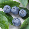 【云南·花香蓝莓】 香甜爽口，鲜嫩爆浆，果香浓郁，现摘现发护眼佳果  顺丰空运 商品缩略图4