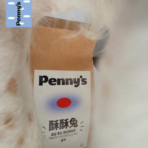 酥酥兔 冻干兔排猫狗零食 洁齿补钙神器 商品图2