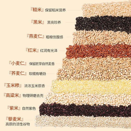 【免浸泡十色糙米】含健康主食之选，无需浸泡蒸煮更快，五谷杂粮饱腹，七色糙米饭八宝粥QQ 商品图3
