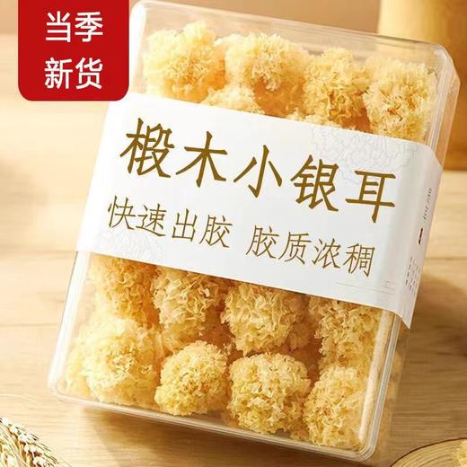 【A货古田，椴木小银耳】 精心挑选无熏糯银耳羹，朵形完整弹润洁日，软糯多胶口感顺滑，即食冲泡易出胶雪耳干货甜点下午茶QQ 商品图1