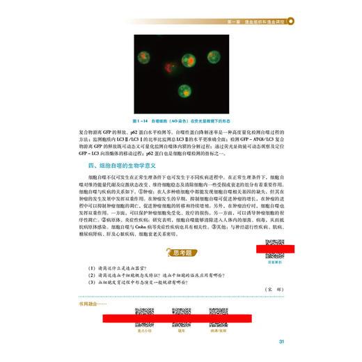 临床血液学检验 第4四版 王学锋 江虹 全国高等医药院校医学检验技术专业第五轮规划教材 供医学检验技术专业用中国医药科技出版社 商品图4