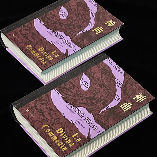 神曲：插图珍藏版 商品图2