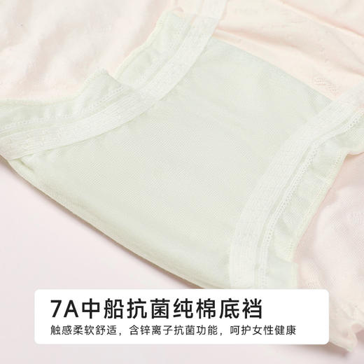 都市丽人舒肤棉纯棉系列RC提花三角裤LKH3B5 商品图7
