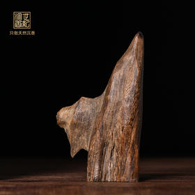 天然都蓬沉香 沉水级 21.8克 SP11760