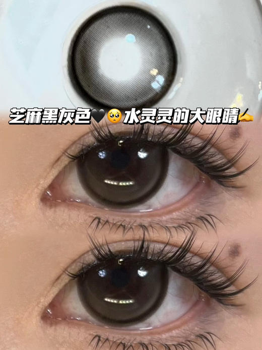 Spade 芝麻黑桃「含硅水凝胶」半年抛型 商品图1