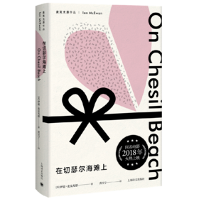 在切瑟尔海滩上