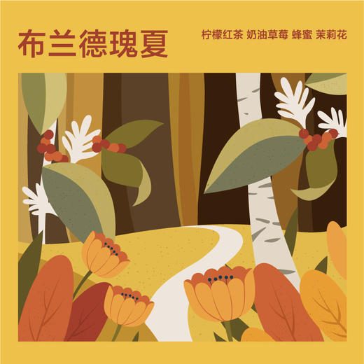 布兰德瑰夏系列 商品图0