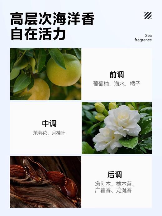 【香水礼盒】海洋至尊飞跃海平线男士香水礼盒 海洋木质调 商品图2