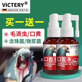 【口腔净50ml买一送一】赛种幼鸽清理呼吸道毛滴虫鸽子用喷口净（汉诺威）