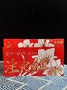 秘鲁进口巨型腊球朱顶红包邮 商品缩略图2