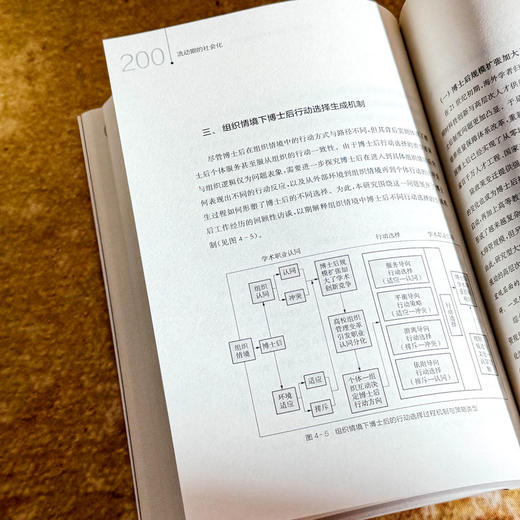 流动期的社会化 高校博士后学术职业认同与行动选择 蒋贵友 商品图12