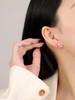 IIPO宜珠宜宝AKOYA真多麻色耳钉7-7.5mm(礼盒装) 商品缩略图4