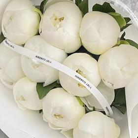 芍药 | 公爵夫人（此品种花头非常非常小，杆子较瘦弱，介意慎拍）