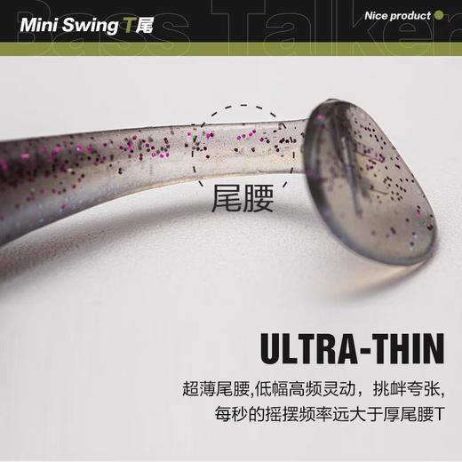 BassTalker鲈语者唤醒MINI小T尾软饵路亚饵黑坑精细钓组鲈鱼鳜鱼 商品图2
