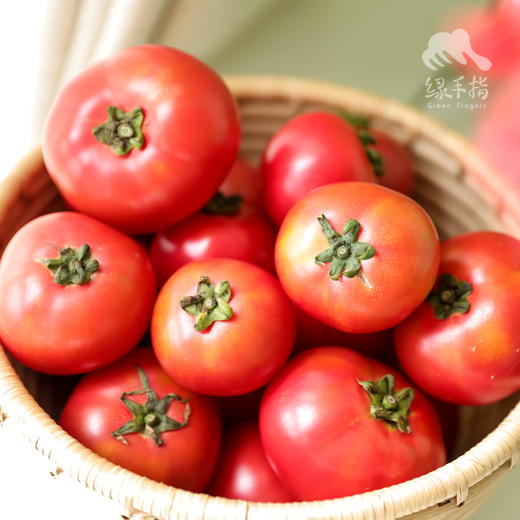 生态草莓西红柿（包邮） | 绿家自产*Ecological tomato | In-House Production 商品图2