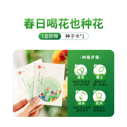 甘悦茶（贡菊茉莉玫瑰桑叶饮 ）配料新鲜健康，🈚️添加 商品图7