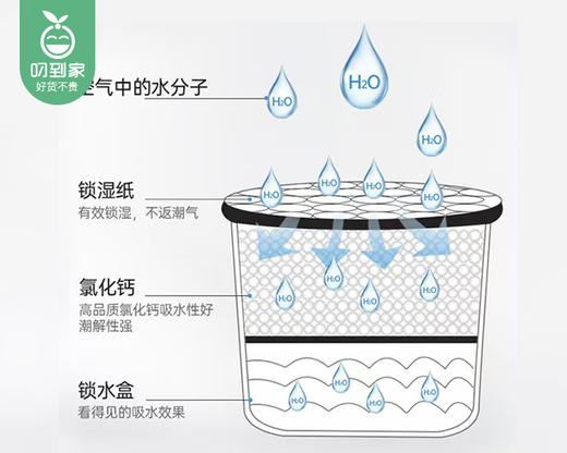 CEETOON无香型除湿盒/1份（230g*3盒）限用日期：27年10月补单专用 商品图2