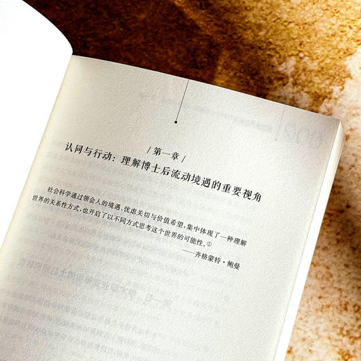 流动期的社会化 高校博士后学术职业认同与行动选择 蒋贵友 商品图7