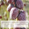 新疆直发 新疆特产新疆若羌灰枣散装和田灰枣未清洗带土新疆红枣未加工新疆灰枣 商品缩略图2