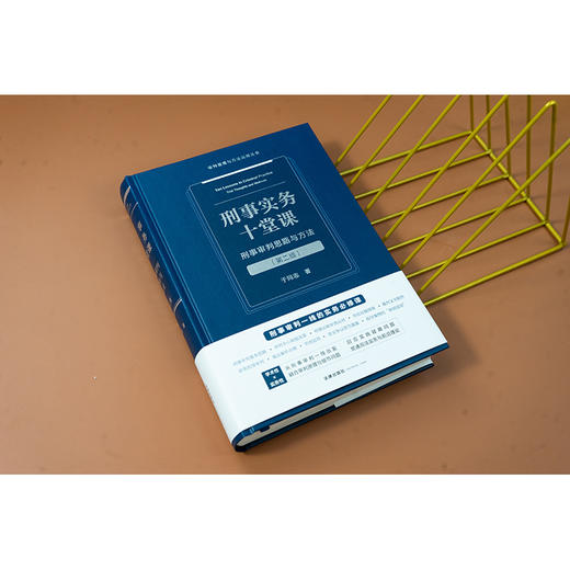 刑事实务十堂课：刑事审判思路与方法（第二版） 于同志著 法律出版社 商品图2