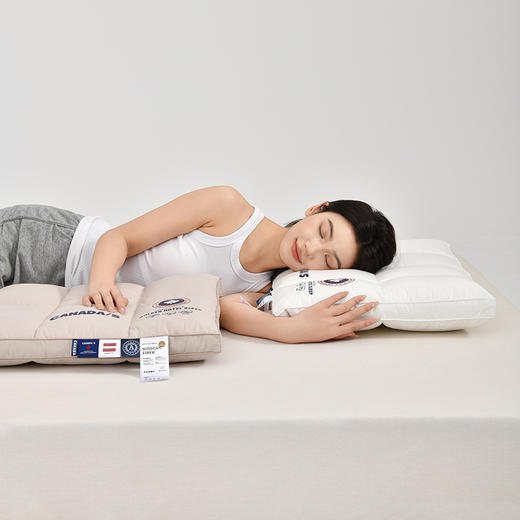 【品牌直发】加倍生活 纯棉大豆多维护颈枕/蓬松立体枕  纯棉面料 大豆纤维填充 商品图2