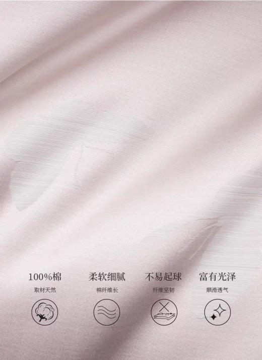 whinny/惠谊  新中式素色简约100S长绒棉全棉提花四件套 蝶舞墨香 商品图3