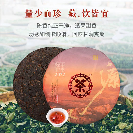 2022年中茶源启普洱熟茶357g 商品图2