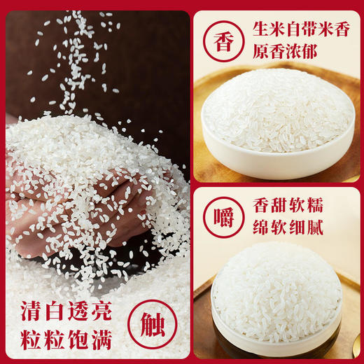 【苏达康牌碱地长粒香米】筋糯爽口 米粒油亮 煮饭煮粥都好吃 商品图1