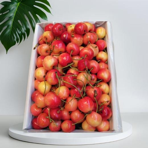 奶油车厘子 1kg/盒 商品图0