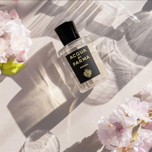 帕尔玛 格调-樱花 sakura 小样/正装 商品图0