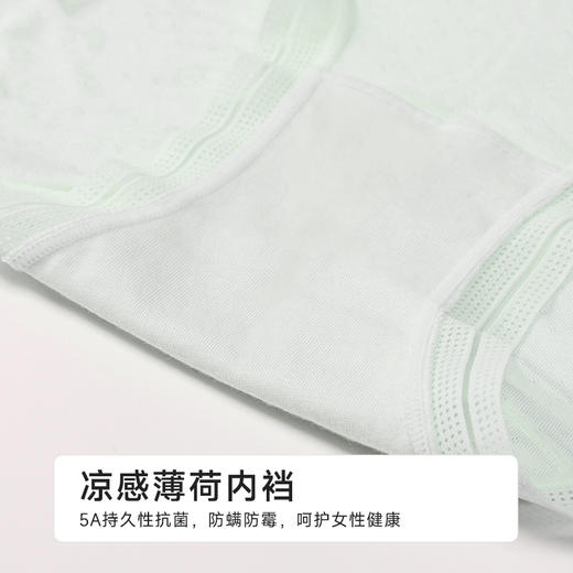 都市丽人纤柔绵木代尔系列莫代尔提孔平角裤LKH5D4 商品图8