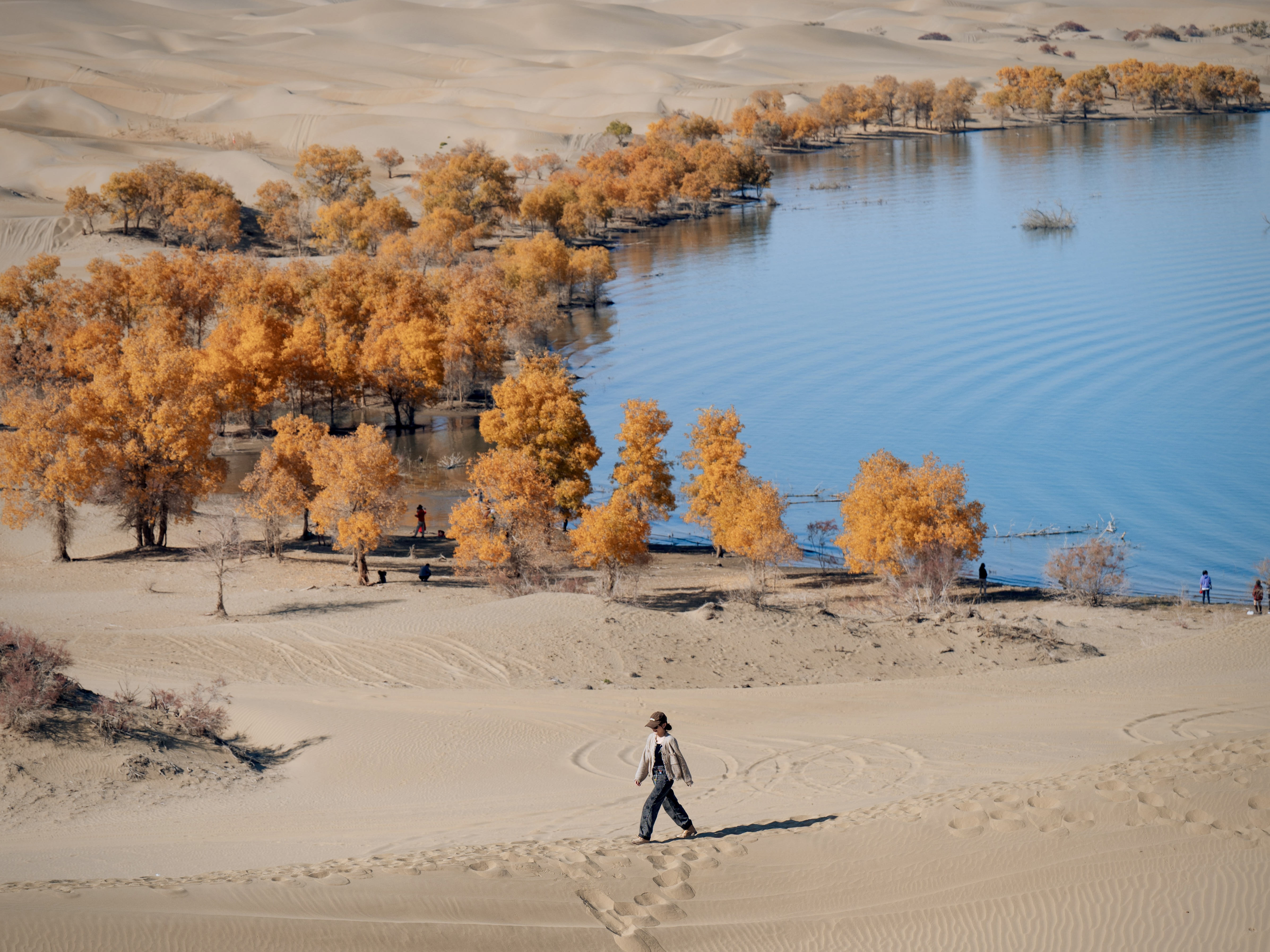 南疆秋令 | 大漠金色胡杨 走进新疆帕米尔高原9日之旅