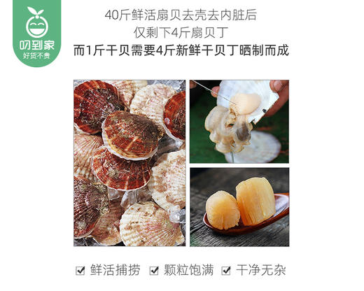 大连干贝瑶柱（海产干货）/1包（约238g）生产日期：26年4月 商品图4