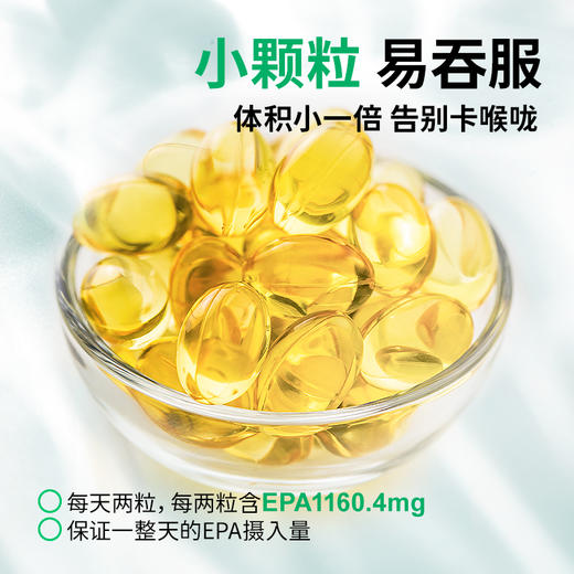 中体健臣epa高纯度鱼油实测99.7%omega3蓝帽子辅助降血脂 商品图4