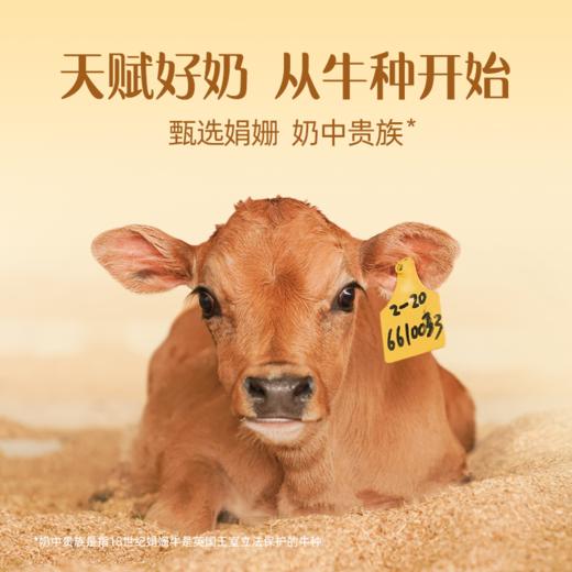 【日期新鲜】认养一头牛娟姗纯牛奶4.0蛋白质125mL*10盒 商品图2
