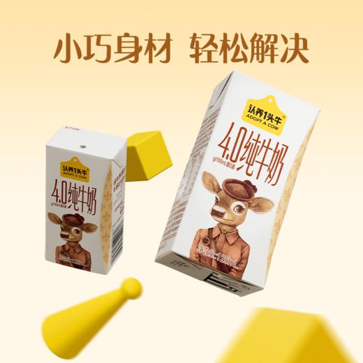 【日期新鲜】认养一头牛娟姗纯牛奶4.0蛋白质125mL*10盒 商品图3