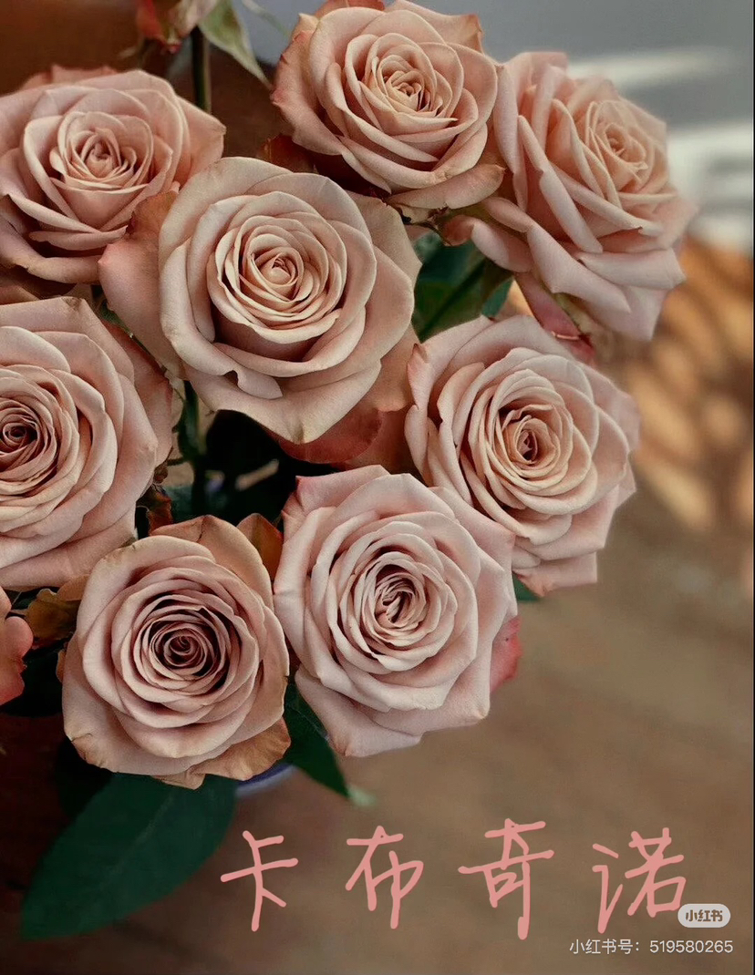 云花香卡布其诺