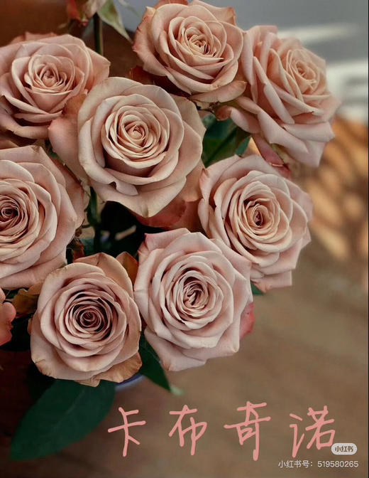 云花香卡布其诺 商品图0