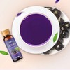 【FSKN】 不老莓原浆（50ml*10瓶）500ml 商品缩略图1