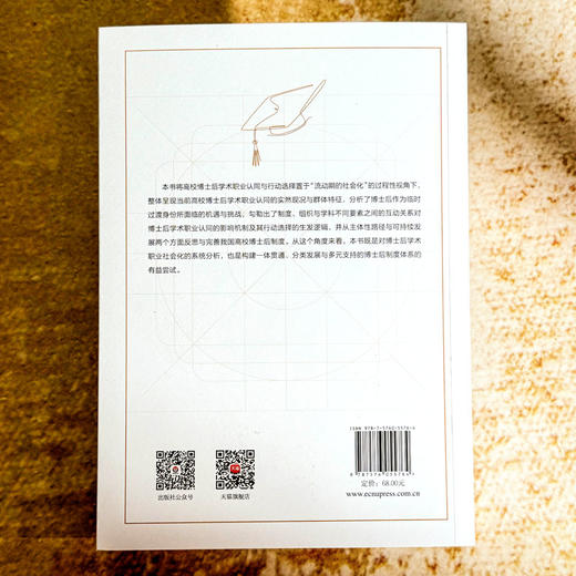 流动期的社会化 高校博士后学术职业认同与行动选择 蒋贵友 商品图2